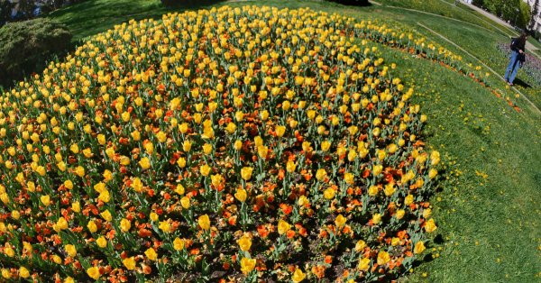 Завтра ждет солнечная погода, градусы достигают 27