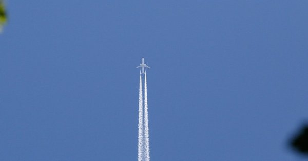 Только чтобы добраться домой: деньги, бесплатные авиабилеты и проживание в отеле