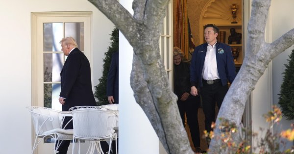 Трамп объявил своим советникам: мускус уходит из Белого дома