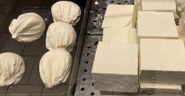 CPC одобряет две молочные продукты, делая овечье сыр с коровьим молоком