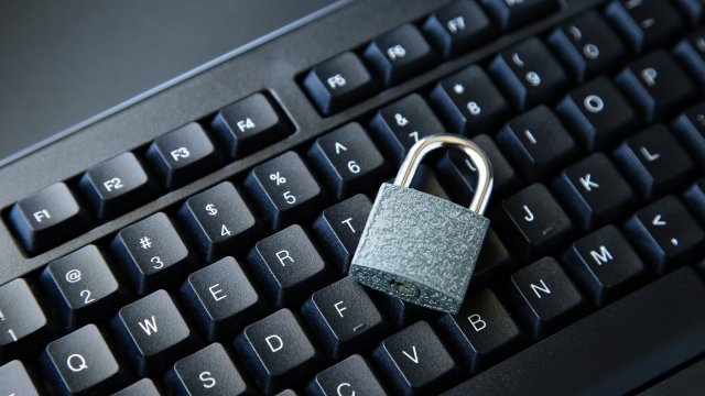 Илиана Элиас: Бизнес в Болгарии более реактивные, а не активные для своей кибербезопасности