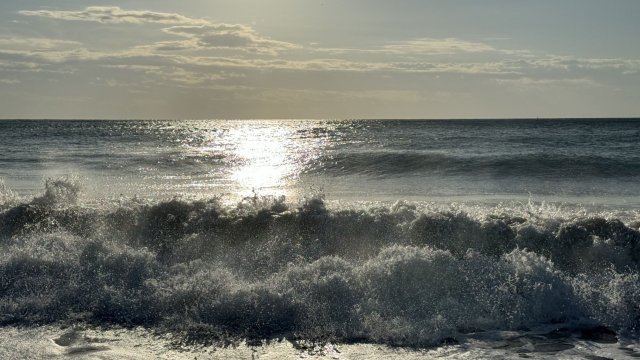 Ожидается сильный рост туристов из Германии на южном Черном море