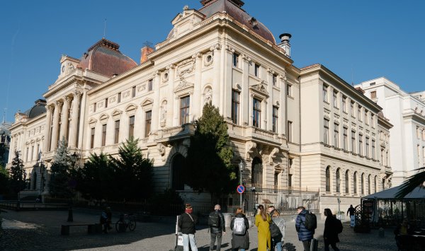 Румыния пытается остановить дешевле, вызванную политическим хаосом