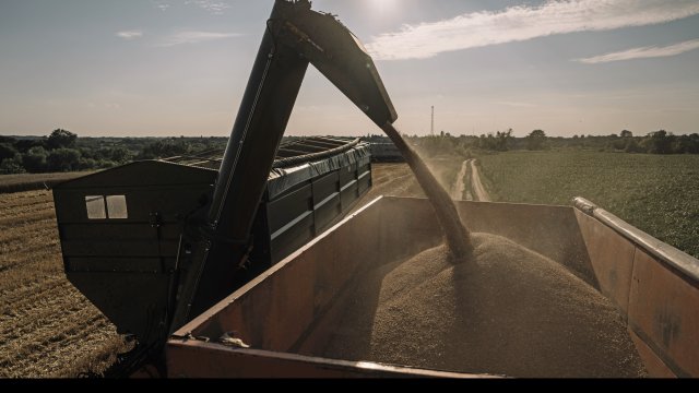 Небольшие изменения в ценах на основные злаки на мировых биржах сообщают о USB