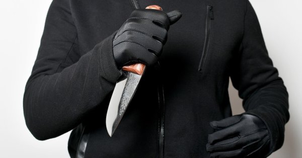 Человек убил своего соседа по комнате после того, как они ссорились из -за своих кошек