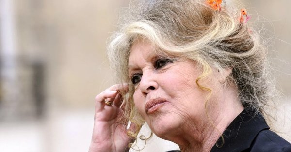 Brigitte Bardot для Depardieu: тронула задницу девушки и что из этого?