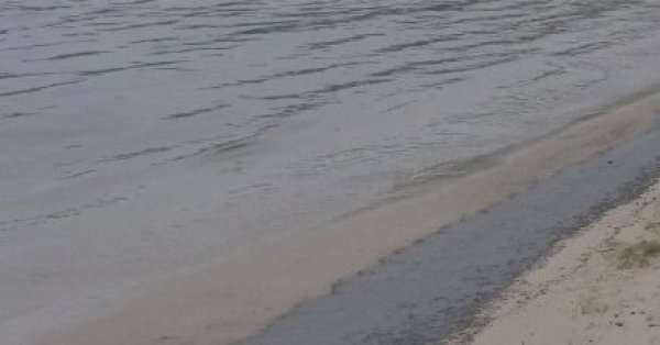 Муниципалитет Pomorie: на наших пляжах нет разливов нефти