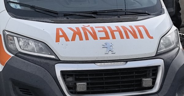 14-летний мальчик находится под угрозой жизни после падения с рыси