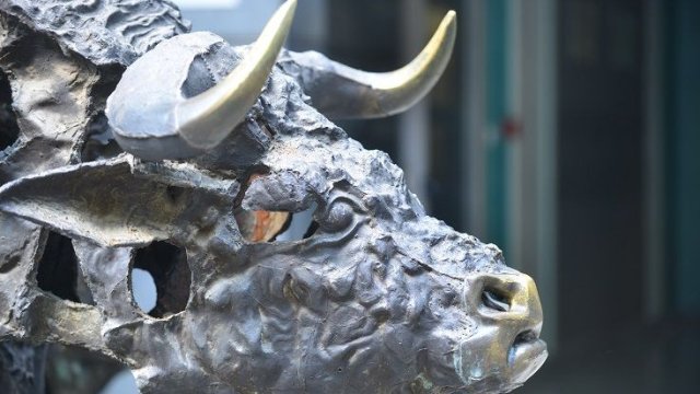 Софикс выздоровел около самого высокого уровня более 16 лет