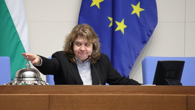 Kiselova: KS частично разрешает запрос Radev в отношении референдума Euro