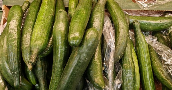 На биржах: цены на овощи падают, фрукты - вверх