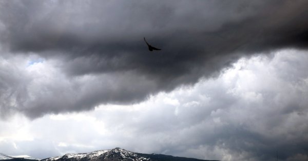 Synoptic Peter Yankov: На выходных ожидается охлаждение
