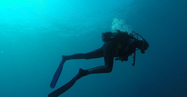 Необычные сокровища: почти 15 дронов были удалены из воды морской станции в Варне