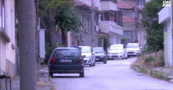 Девятый день поиска: где пантера Шумен?
