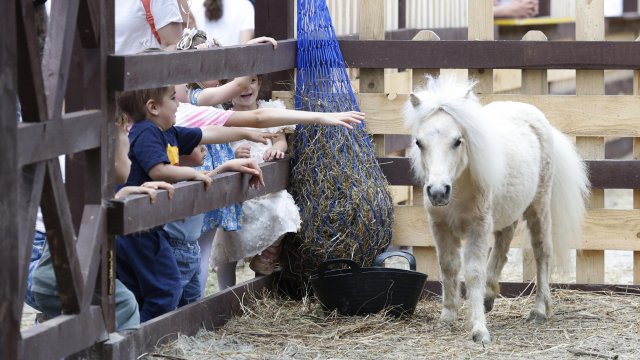 Кадр дня на 1 июня