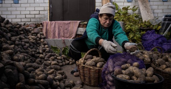 Картофельный кризис в России: министры исключили их из диеты, чтобы иметь людей