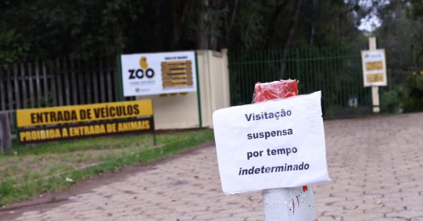 Бразилия сообщила о птичьем гриппе в зоопарке