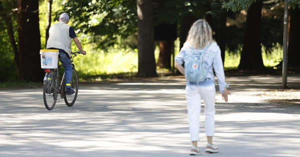 Мы ожидаем сегодня солнечной погоды