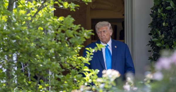 После развода с Маск: кто может быть новым лучшим другом Трампа из Силиконовой долины?