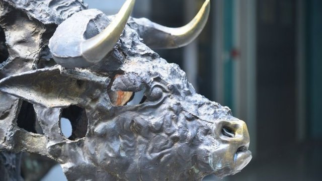 Акции Shell Group достигли новой рекордной высокой цены