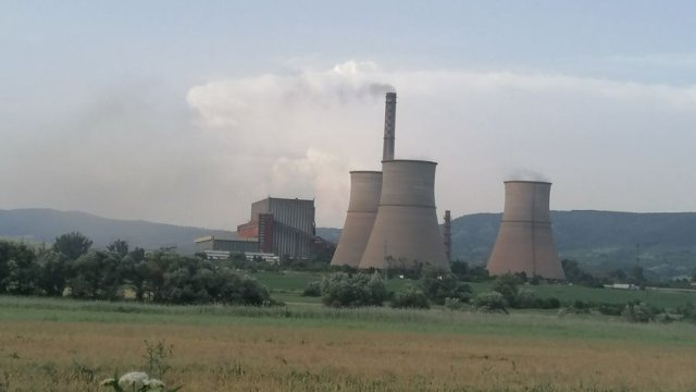 TPP Bobov DOL выплатит дивиденды BGN 0,10 на акцию прибыли за 2024 год.