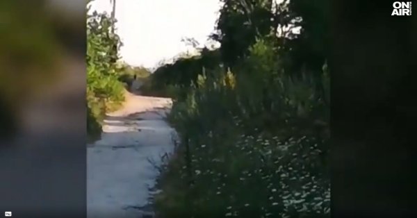 Полиция запретила доступ к плато Шумен