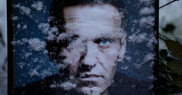 Сторонники Алексей Навального были арестованы
