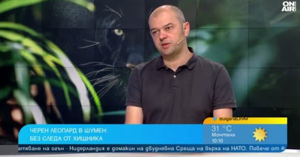 Новая теория: Хищник Шумен пришел из Венгрии?