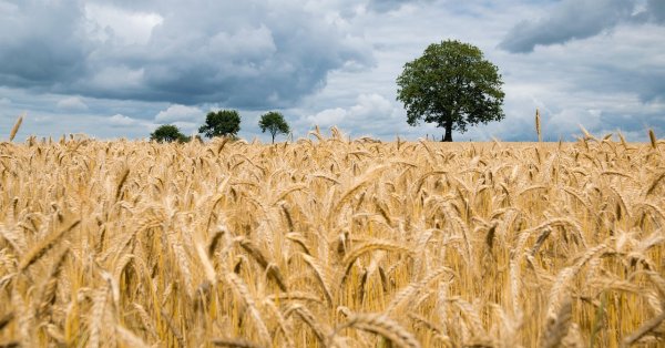 ЕС и Кив достигли первоначального соглашения об импорте товаров из Украины