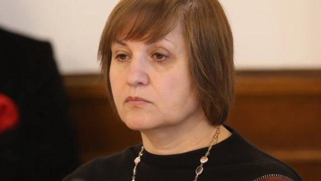 Депутаты выбрали Веселу Караиванова-Начеву в качестве менеджера NSSI
