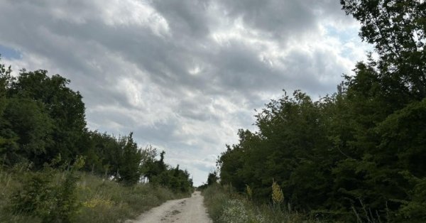 Вождь зоопарка: Леопард решил жить на плато, очевидно, обнаружив еду