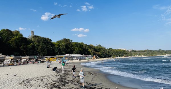 Черное море очень чистое, 90% наших пляжей имеют "синий флаг"