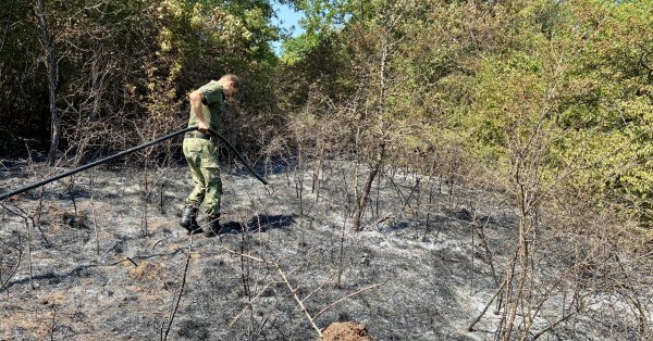 Многочисленные лесные пожары в Греции