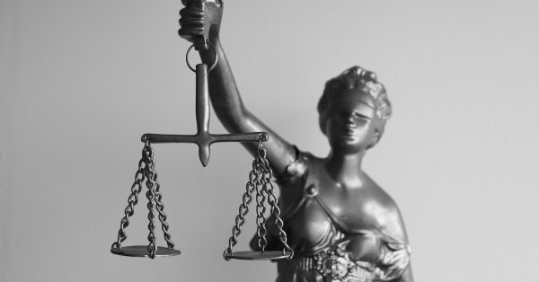 Двое мужчин будут лежать в тюрьме за вырезание символического дерева