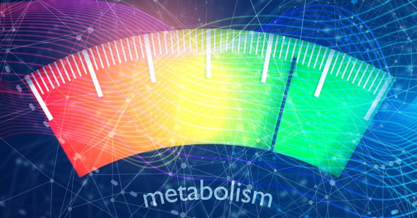 5 способов ускорить метаболизм без голода