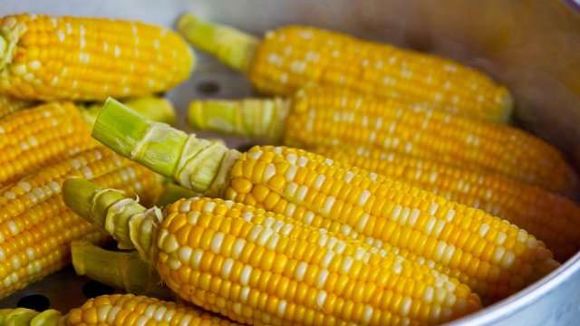 Оптимистичные прогнозы для производства цен на пшеницу и кукурузы.