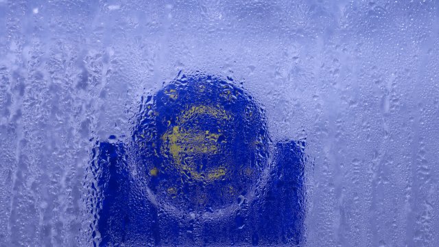 ECB Machluf: Евро не может быстро вытеснить роль доллара