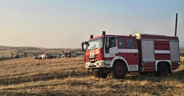 Огонь Сакара продолжает держать десятки пожарных пешком