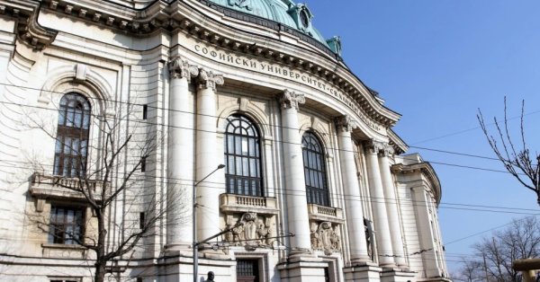 Alma Mater объявила о дополнительном входе