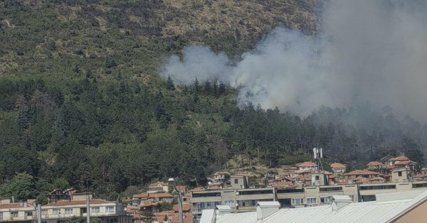 Большой огонь горит в местности Сент -Джордж в Слайвене
