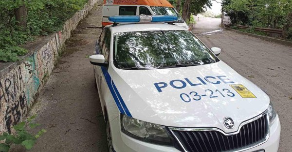 Сильная авария в Видине: машина застряла на дереве, двое погибли
