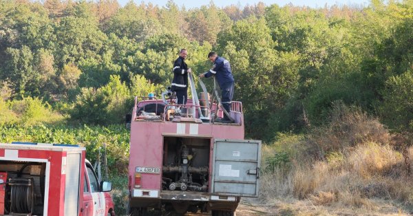Огонь и в Шумене пламя близко к электрической подстанции