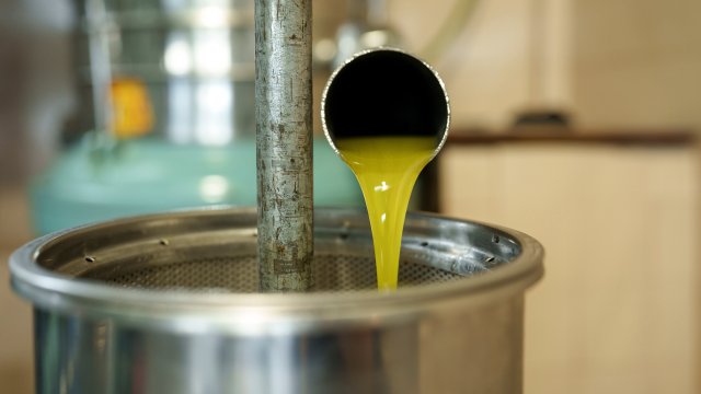 Крупнейший в мире производитель в мире оптимистичен для будущего после отраслевого кризиса