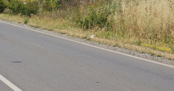Женщина погибла в аварии возле Монтаны