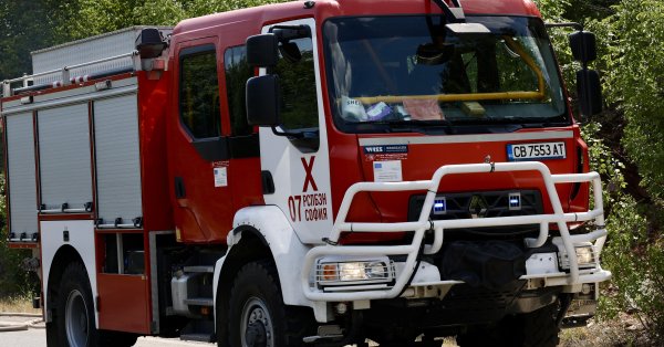 В общей сложности 118 пожаров в стране было погашено в стране в течение последних 24 часов