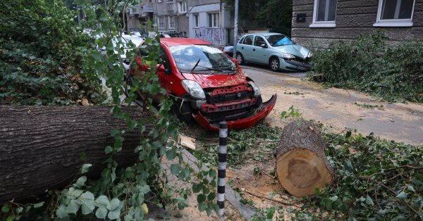 Более 20 сигналов повреждения после шторма в Каюстендиле