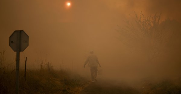 Пожарный погиб во время борьбы с огнем в Испании