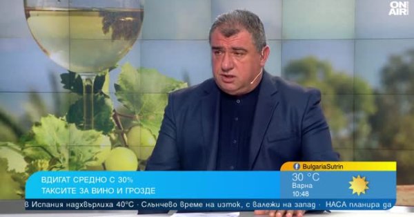 Есть ли кризис в потреблении вина? Молодые люди предпочитают пиво