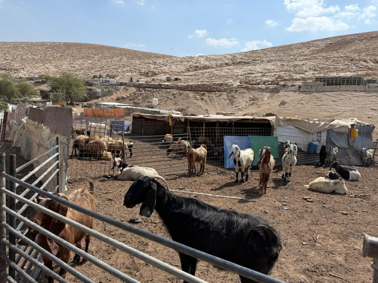 Западный берег