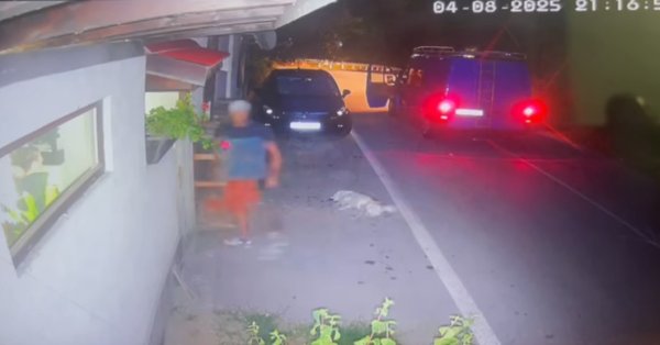 Другой садист: мужчина убил собаку без причины в видео Teteven